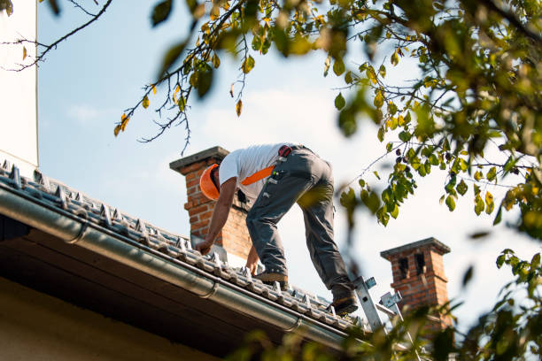 Best Flat Roofing  in Bridgeville, DE