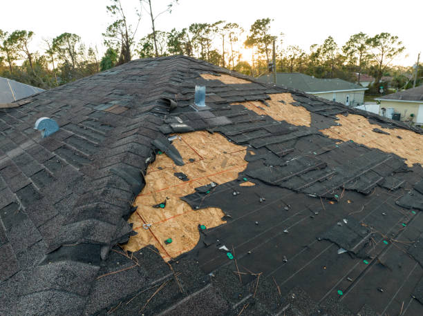 Best Tile Roofing Installation  in Bridgeville, DE